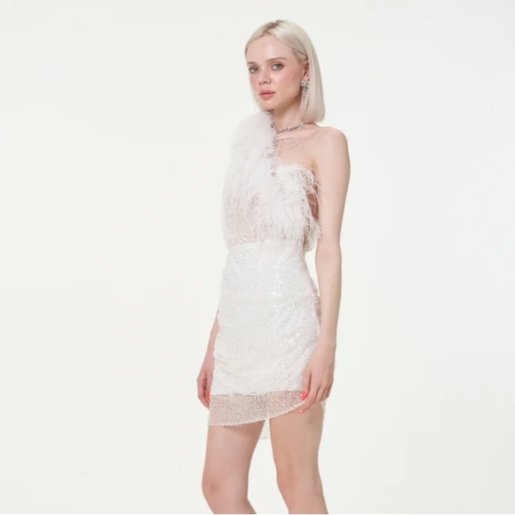 Par Violet End Scene Dress BRAND NEW (NWT) - Picture 5 of 10